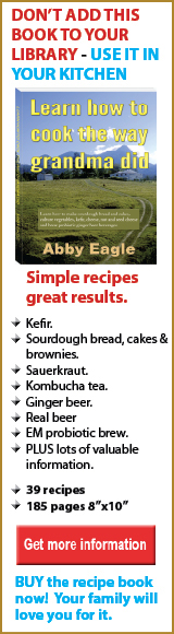 learn how make kefir, cheese, sauerkraut, kombucha, sourdough bread and cakes, ginger beer and EM, 